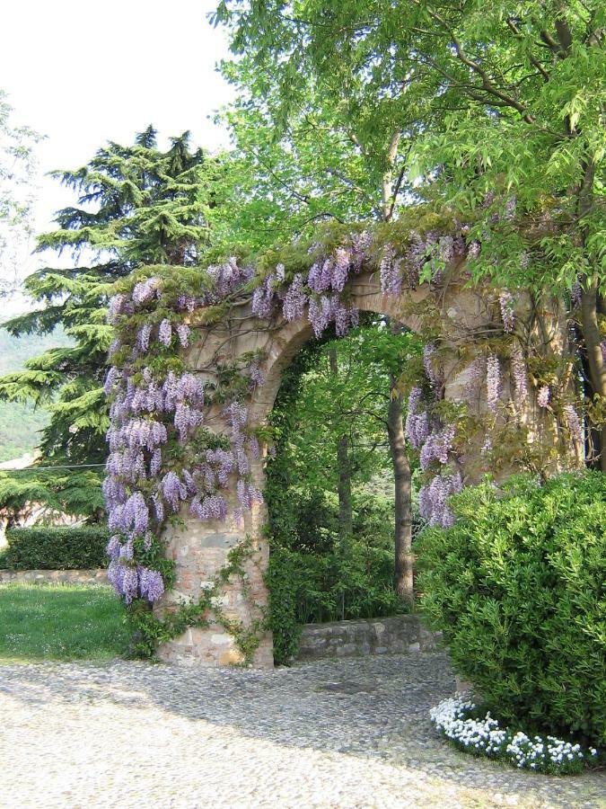 B&B Il Dosso Corte Franca Eksteriør bilde